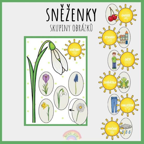Sněženky, skupiny obrázků