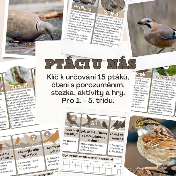 Ptáci u nás - stezka, projekt, čtení, výtvarka🐤🐓🐦