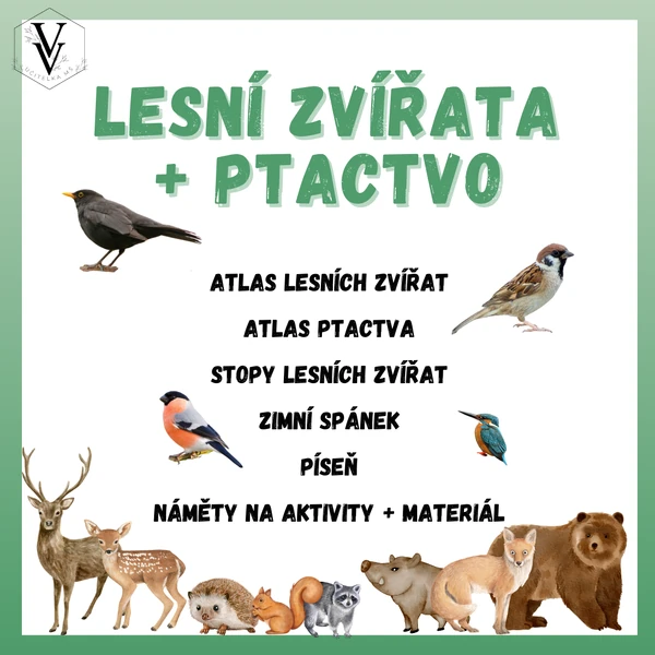 Lesní zvířata + Ptactvo 