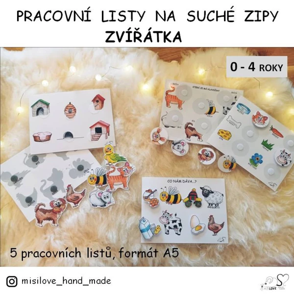 Pracovní list na suché zipy - ZVÍŘÁTKA