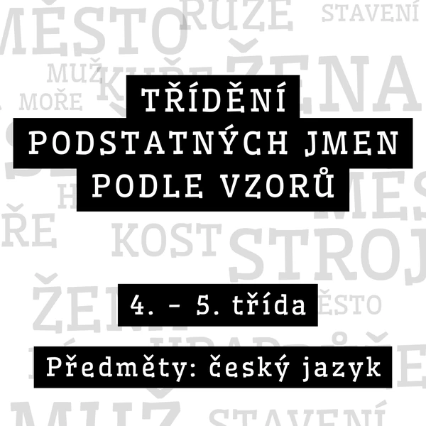 Vzory podstatných jmen - řazení, procvičování