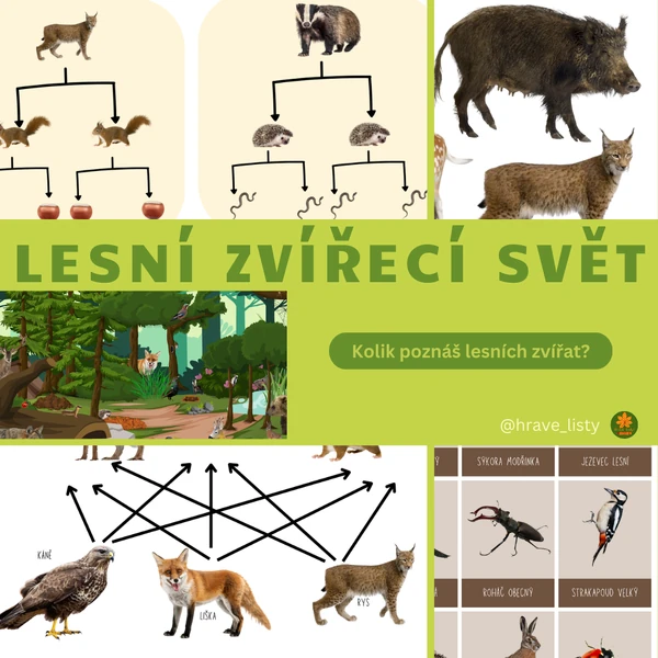 Lesní zvířecí svět