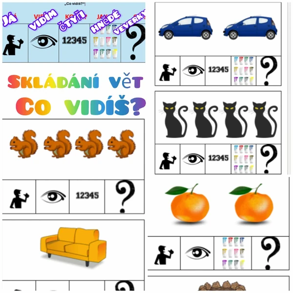 Skládání vět „Co vidíš?“ 