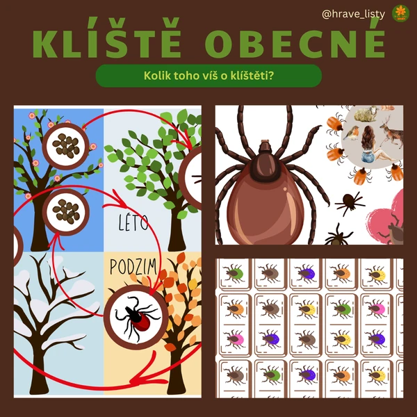 Klíště obecné