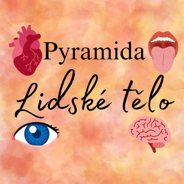 Lidské tělo - pyramida