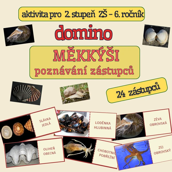 výuková hra typu DOMINO - MĚKKÝŠI