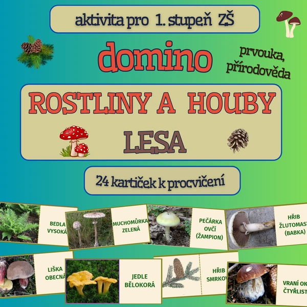 DOMINO - Rostliny a houby v lese - 4. ročník PŘÍRODOVĚDA