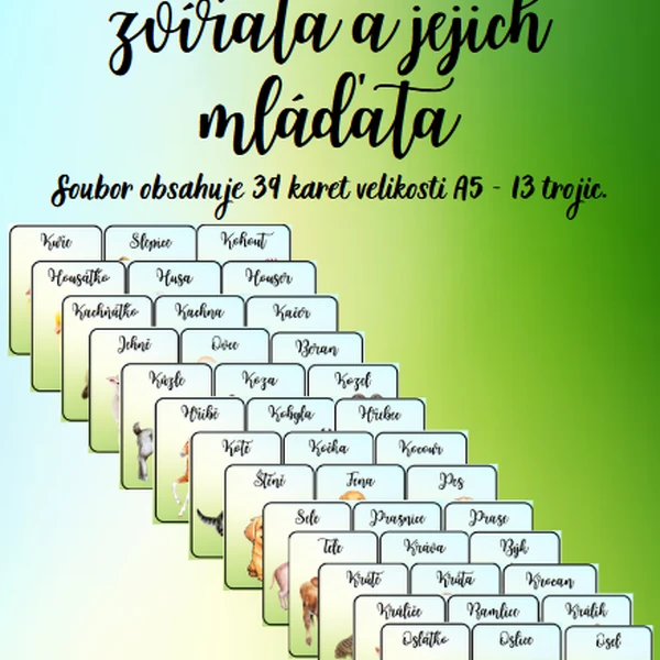 Demonstrační karty zvířata a jejich mláďata