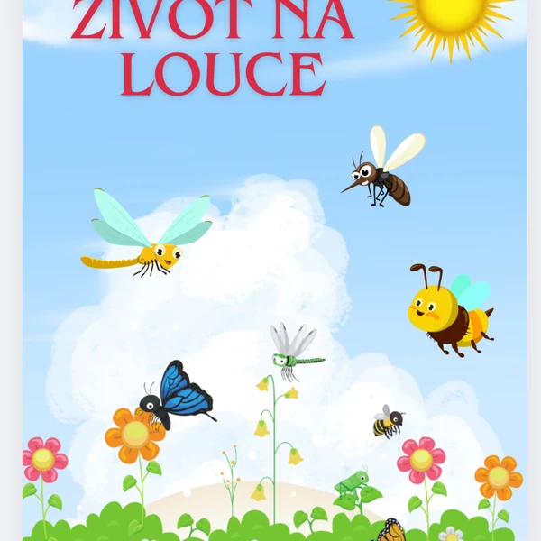 Život na louce - hmyz
