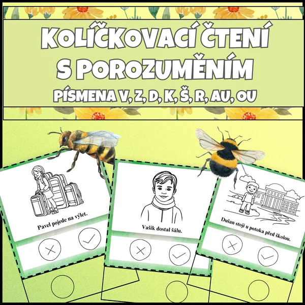 KARTIČKY PRAVDA x LEŽ - Čtení s porozuměním pro 1. třídu