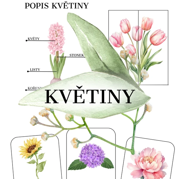 Květiny