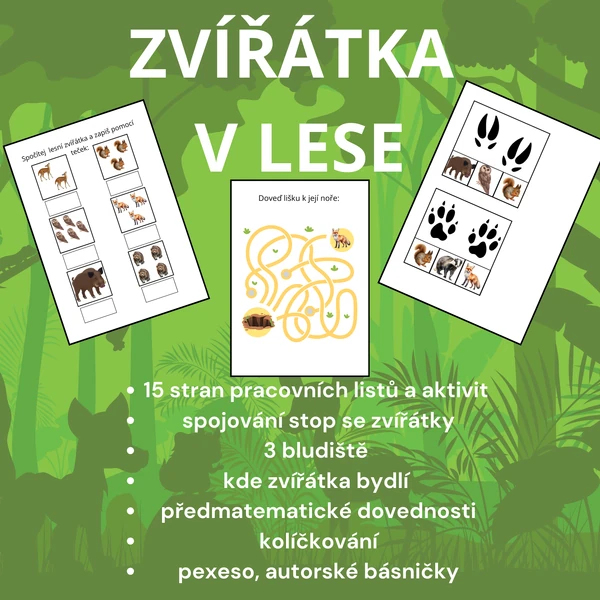 Zvířata v lese