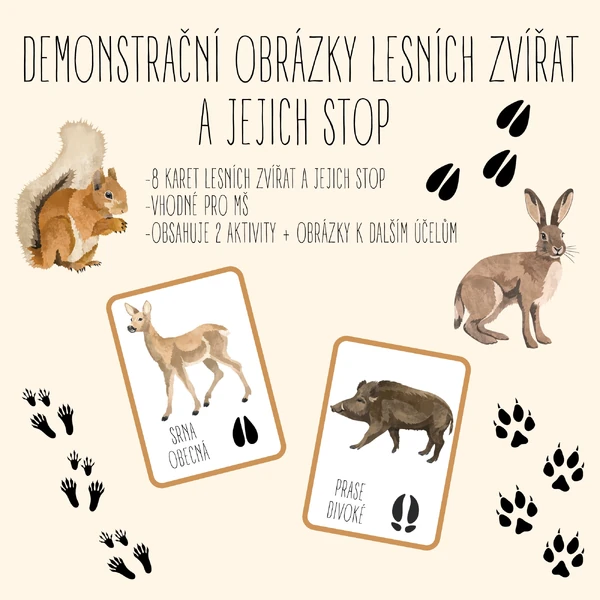 Demonstrační karty lesních zvířat a jejich stop