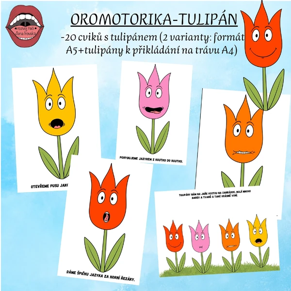 OROMOTORIKA TULIPÁNY