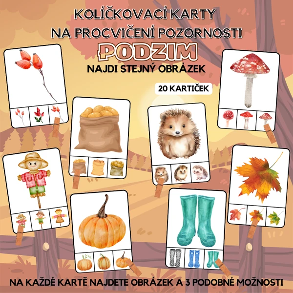 Kolíčkování Podzim - procvičení pozornosti/najdi stejný obrázek