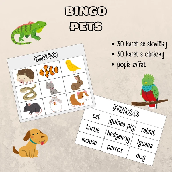 Pets - bingo