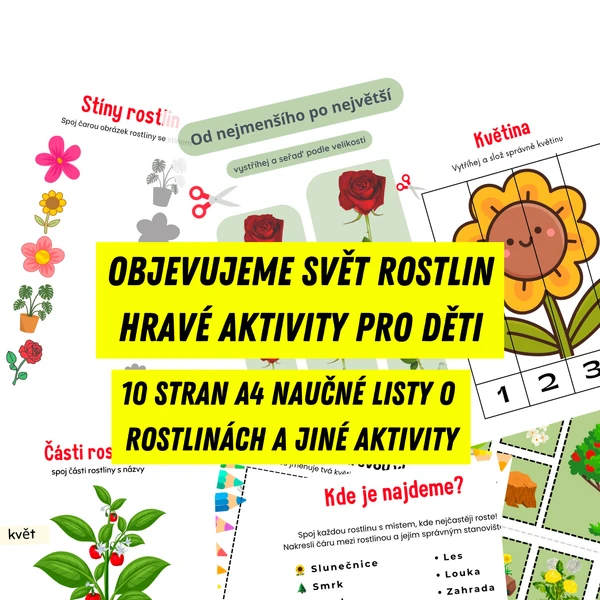 Objevujeme svět rostlin - hravé aktivity pro děti