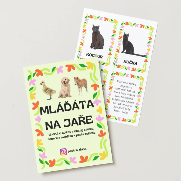 Mláďata na jaře