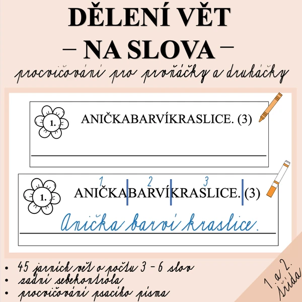 DĚLENÍ VĚT NA SLOVA