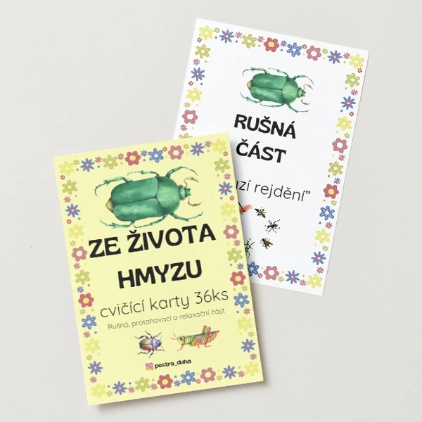 Ze života hmyzu - karty na cvičení
