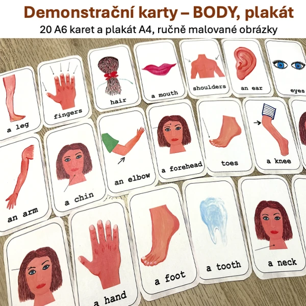Demonstrační karty, plakát - BODY