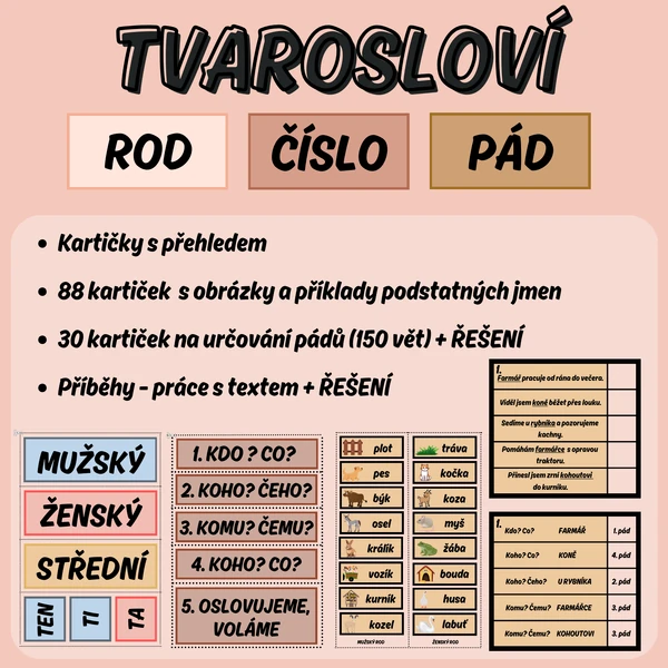TVAROSLOVÍ - PÁD, ČÍSLO ROD