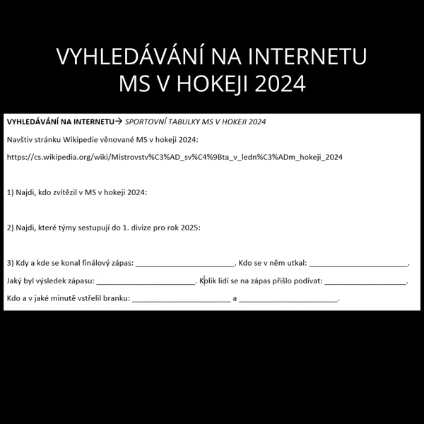 Vyhledávání na internetu