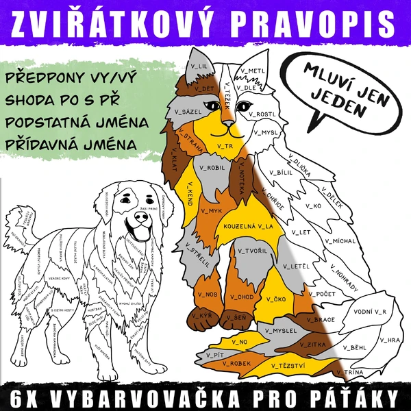 PRAVOPISNÉ VYBARVOVÁNÍ - podst. jm., příd. jm., slovesa, vyjm. slova - PRO 5. TŘ