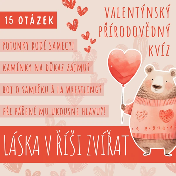 LÁSKA V ŘÍŠI ZVÍŘAT - valentýnský přírodovědný kvíz