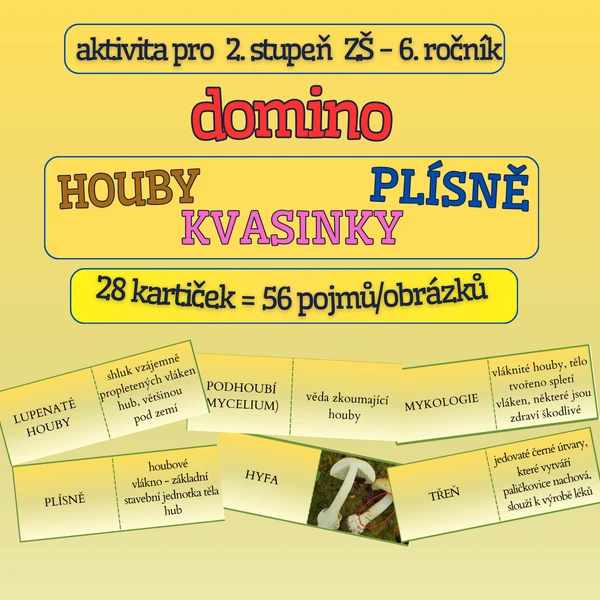 výuková hra typu domino HOUBY, PLÍSNĚ, KVASINKY