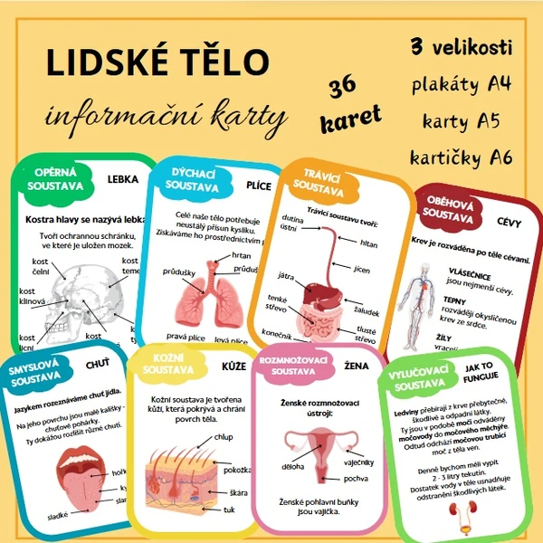 Lidské tělo - informační karty