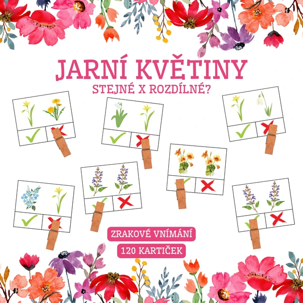 JARNÍ KVĚTINY- stejné x rozdílné?