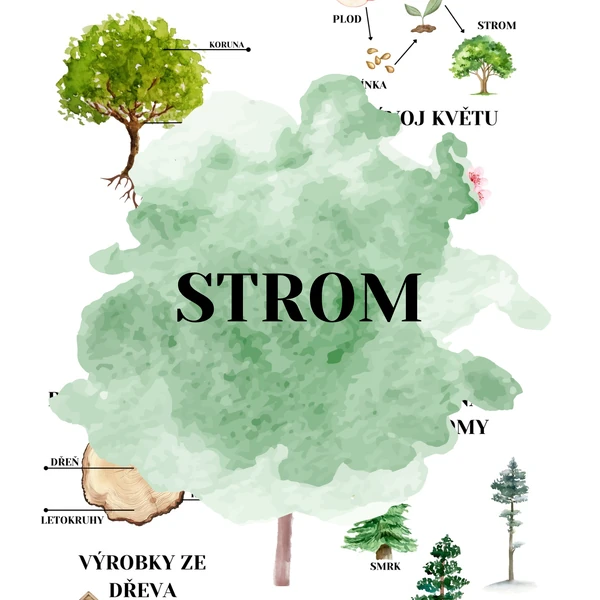 Strom