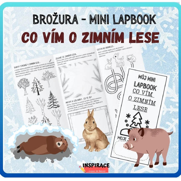 MINI lapbook - CO VÍM O ZIMNÍM LESE