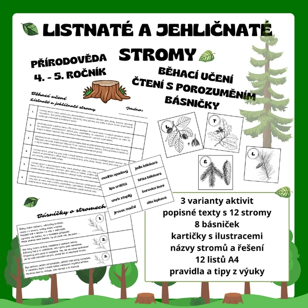 Běhačka, básničky a čtení s porozuměním - Listnaté a jehličnaté stromy