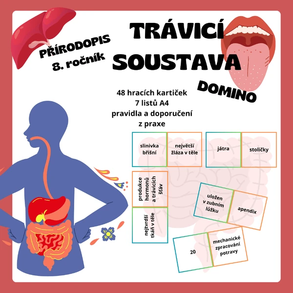 DOMINO - Trávicí soustava