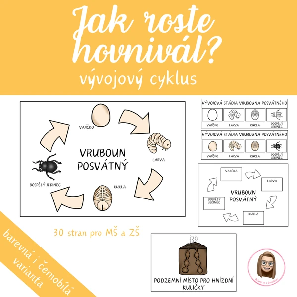 HOVNIVÁL (vruboun posvátný) - vývojový cyklus