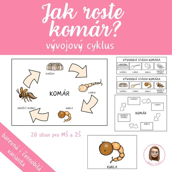 KOMÁR - vývojový cyklus