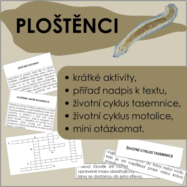 Ploštěnci - soubor aktivit