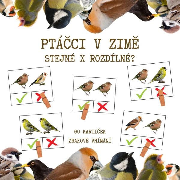 PTÁČCI V ZIMĚ - stejné x rozdílné?