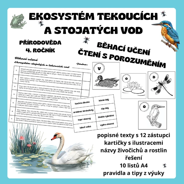 Běhačka a čtení s porozuměním - Ekosystém tekoucích a stojatých vod