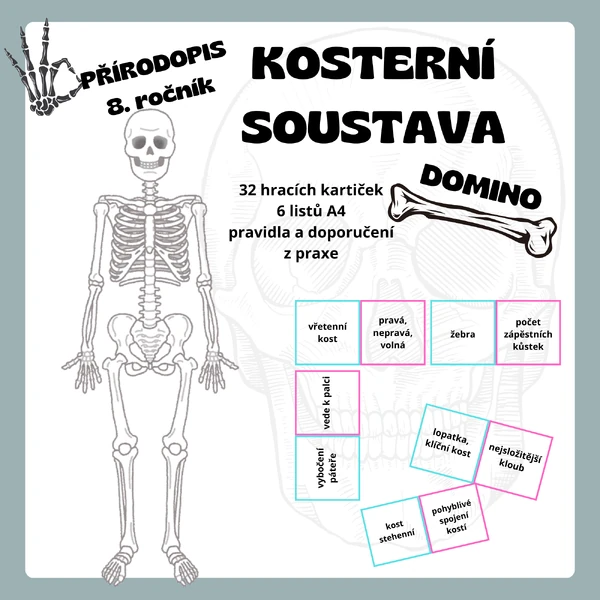 DOMINO - Kosterní soustava