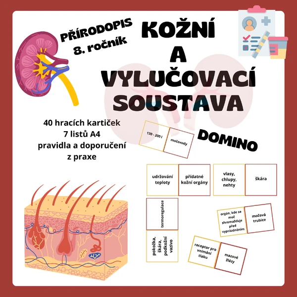 DOMINO - Kožní a vylučovací soustava