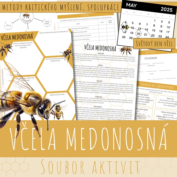 Včela medonosná - SOUBOR AKTIVIT
