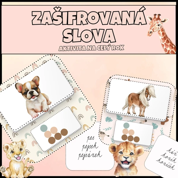 Zašifrovaná slova - sluchové vnímání, analýza slov