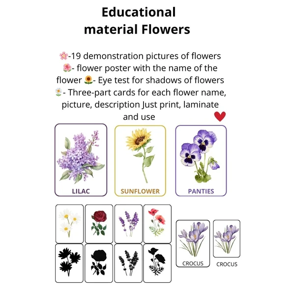 Education Materiál: Flowers 🌹🌺