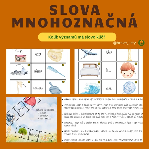 Slova mnohoznačná