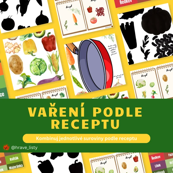 Vaření podle receptu