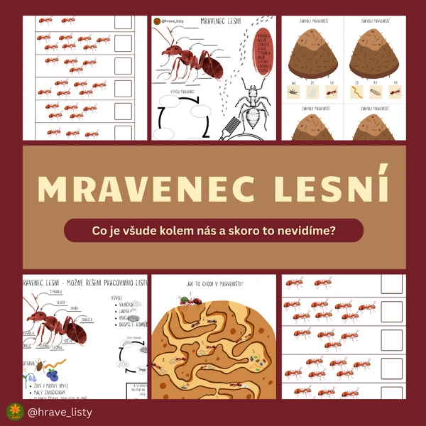 Mravenec lesní