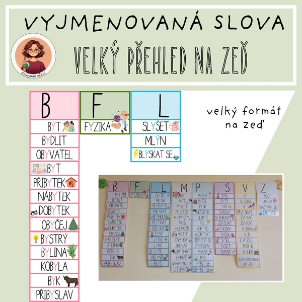 Vyjmenovaná slova - velký přehled na zeď